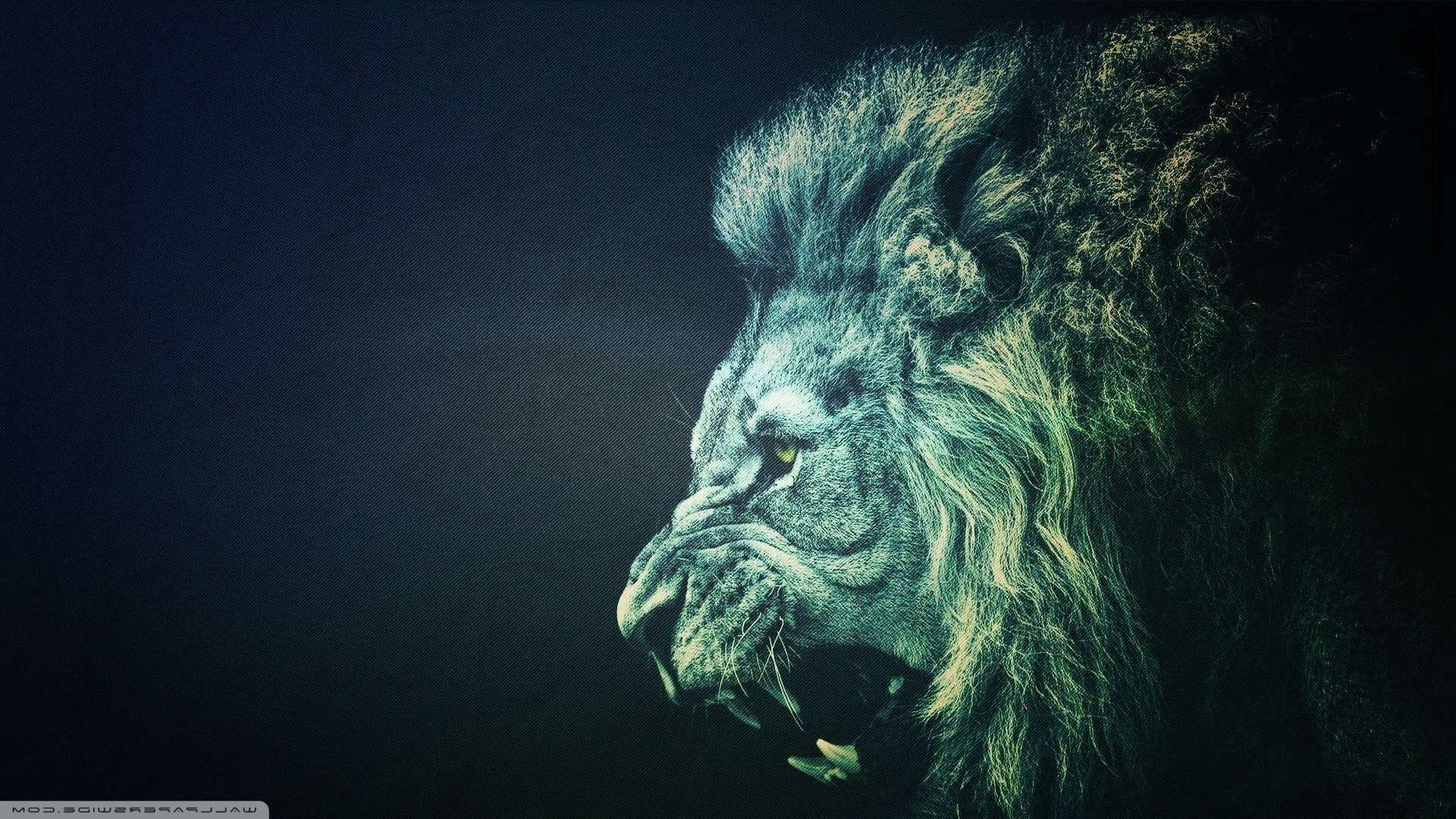 Close-up of a roaring lion against a dark background, showcasing its majestic mane and powerful presence. Ideal for a 4K desktop wallpaper