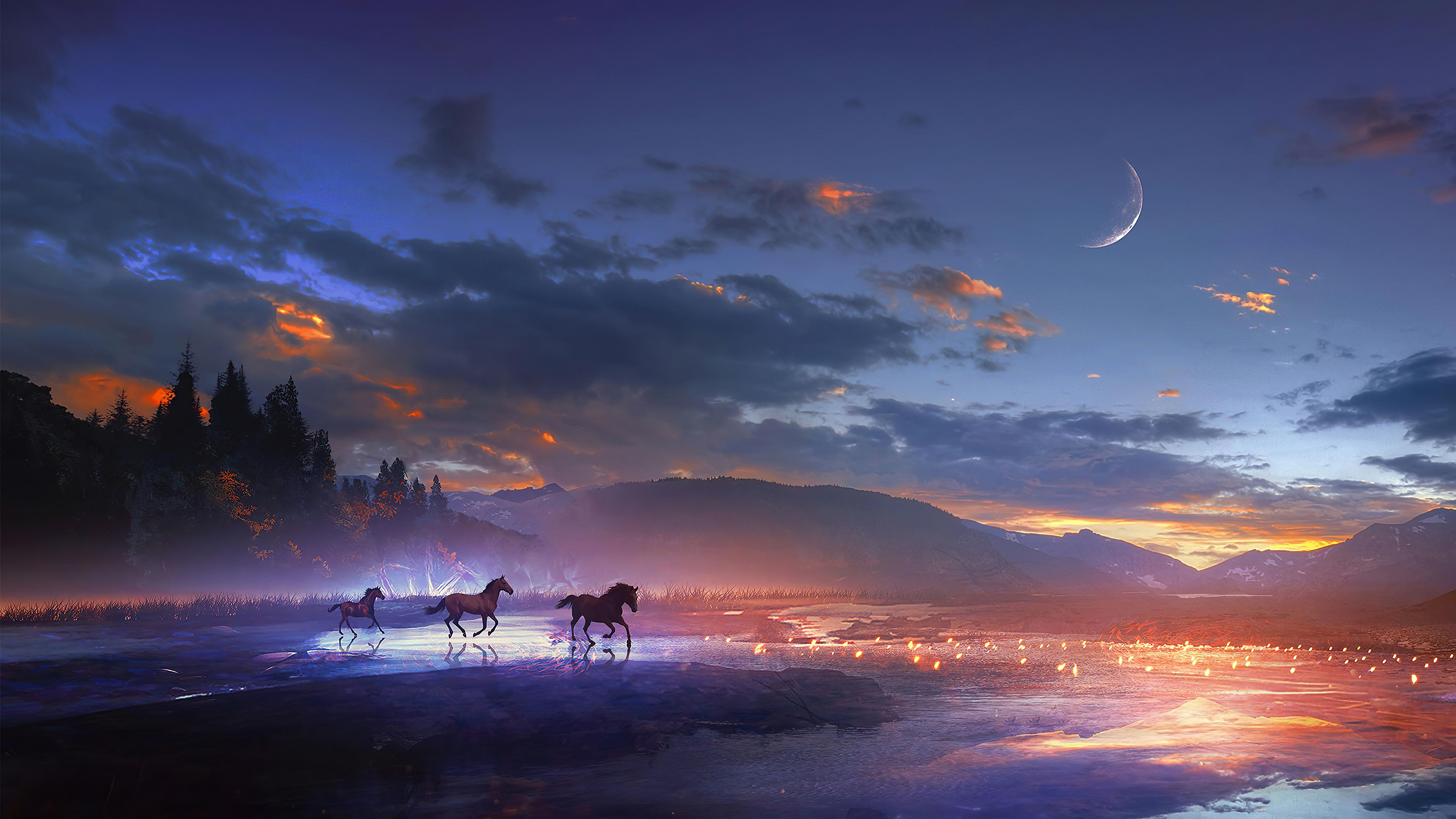 Sunset Horse Scenery HD 4k Wallpaper