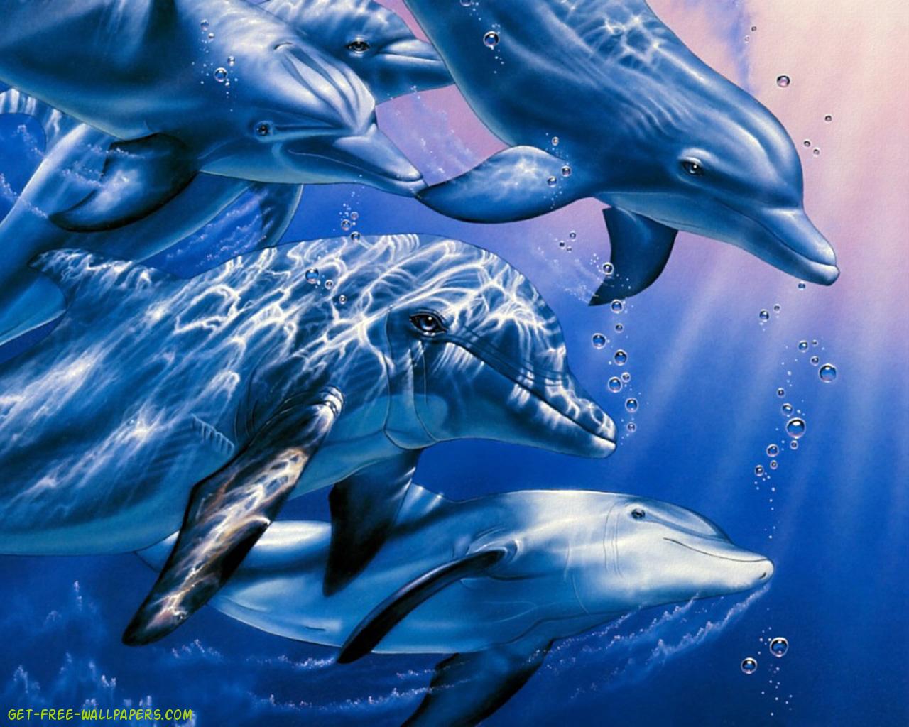Wallpaper Pc 3d Graphics Digital Dolphins