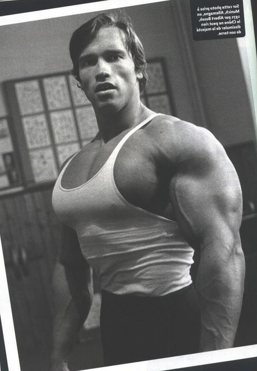 Arnold Bodybuilding Wallpaper Conquer HD Schwarzenegger