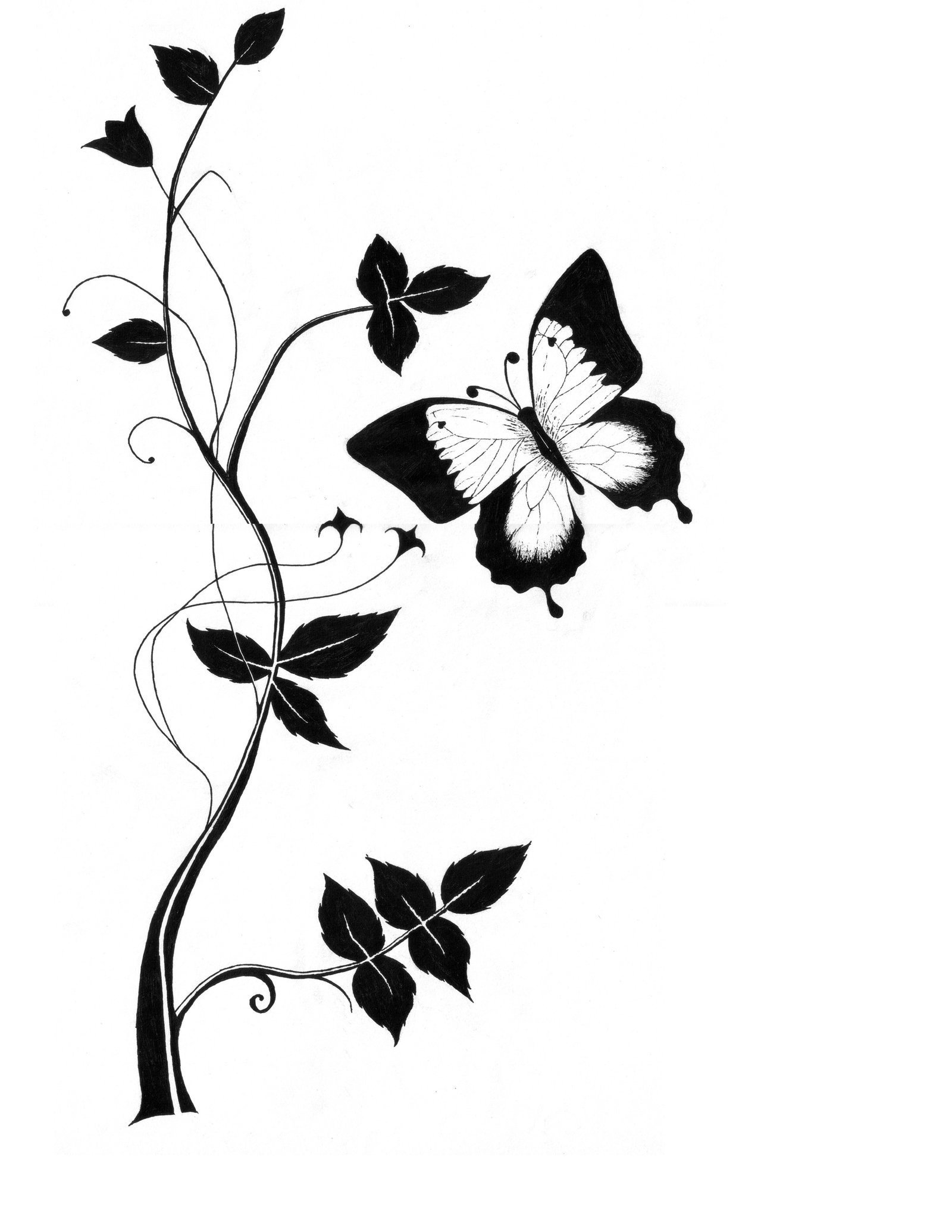 Butterflies Line Art Drawing Collection Graphic by subujayd · Creative  Fabrica