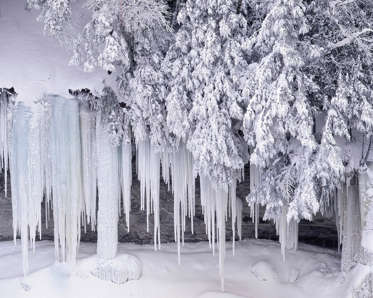 Winter wonderland Dreamy Snow Scene wallpaper 1280x1024 NO1 Desktop 1280x1024