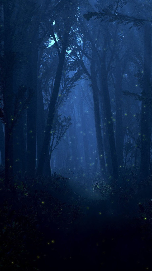 Dark Forest Wallpaper   Free iPhone Wallpapers