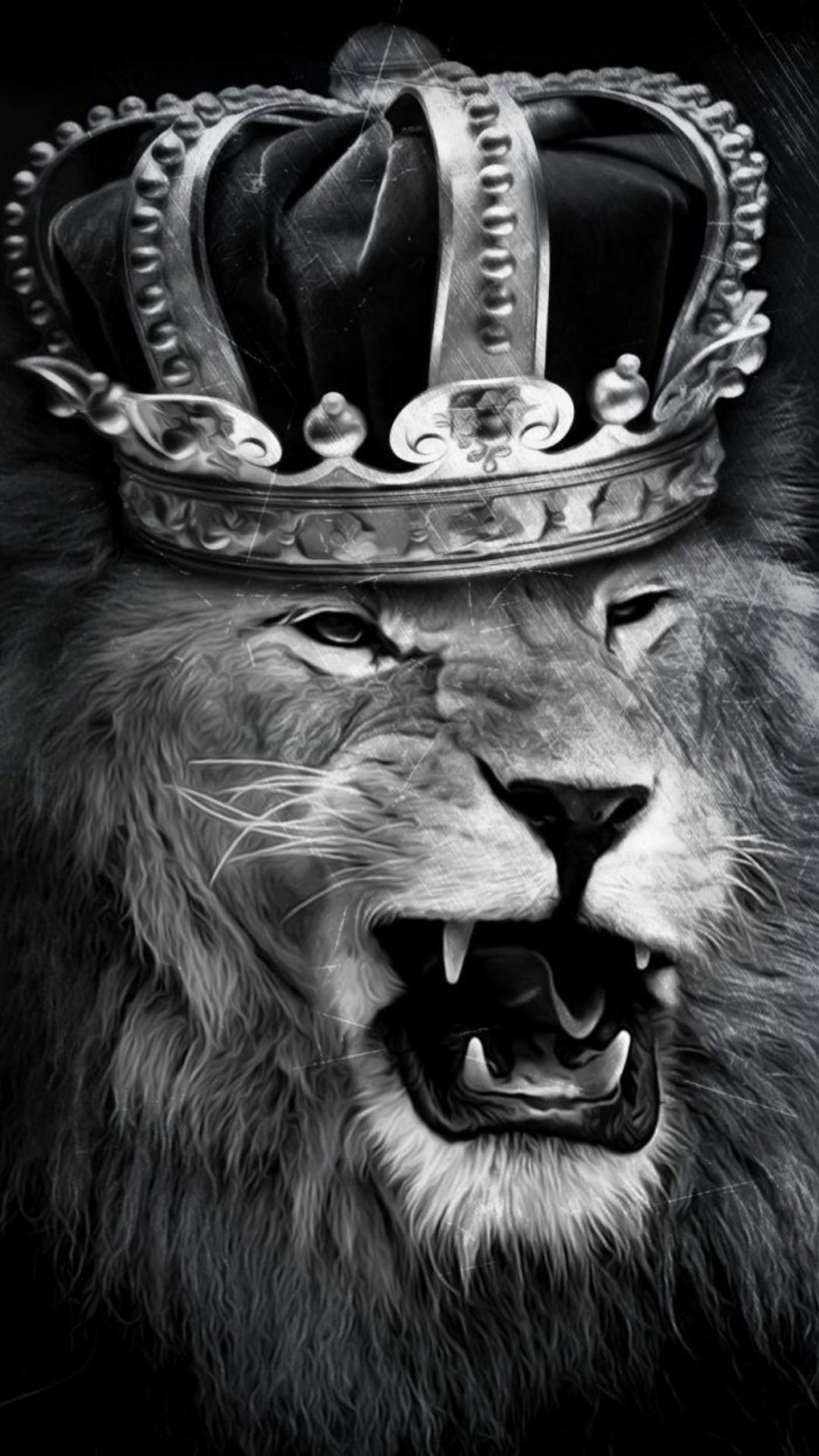 Angry Lion iPhone Wallpaper