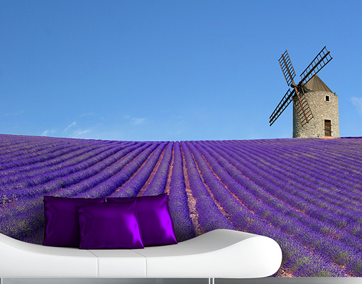 Mural The Scent Of Lavender In Provence Wallpaper Wall Art Field