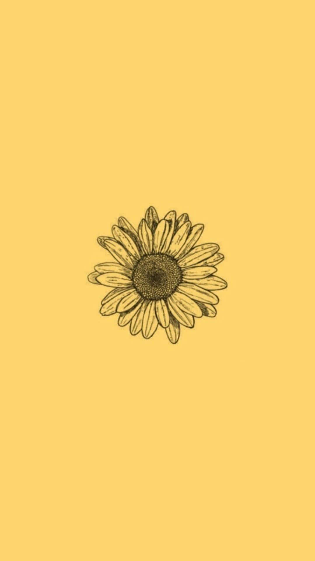 Cute Yellow Sunflower Aesthetic Picture Wallpaper