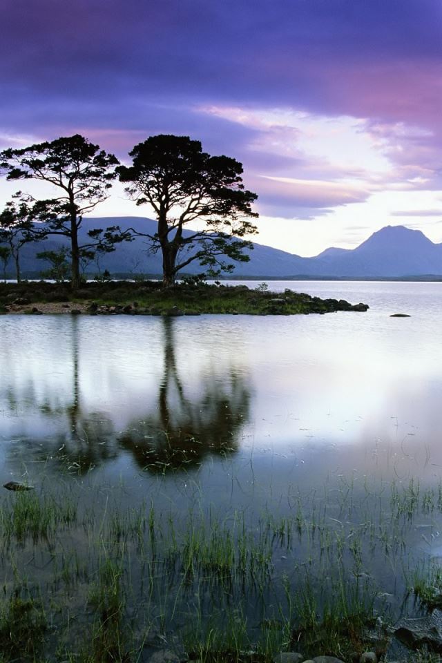 Isolated Trees iPhone 4s Wallpaper