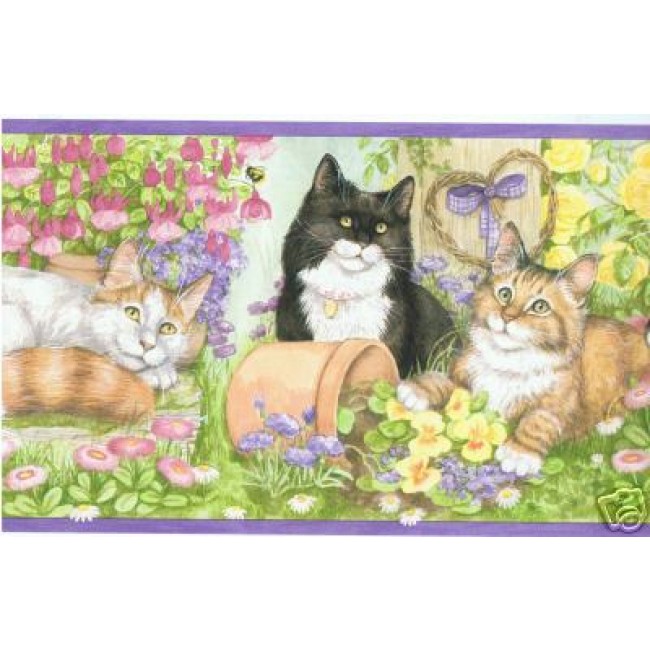 Free download PURPLE KITTENSCATS AT PLAY WALLPAPER BORDER All 4 Walls