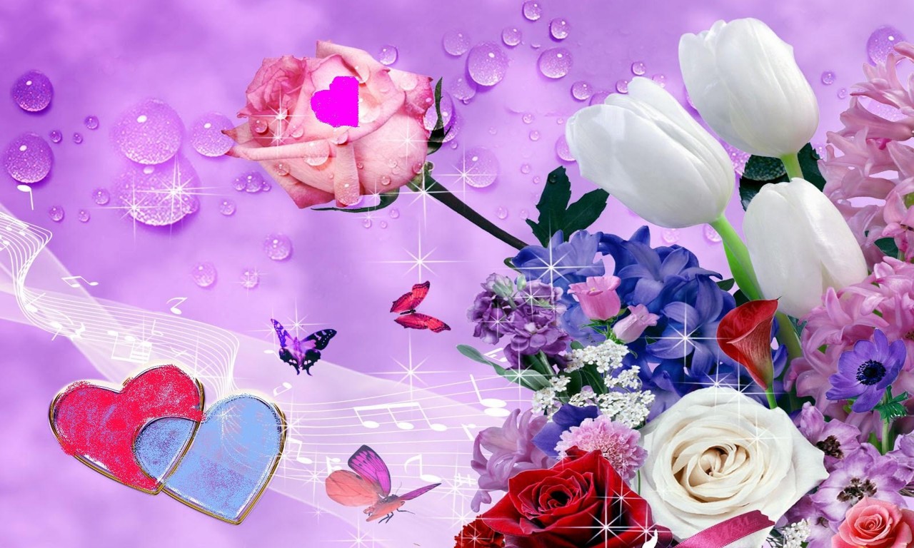 Beautiful Colorful Rose Flower Wallpaper