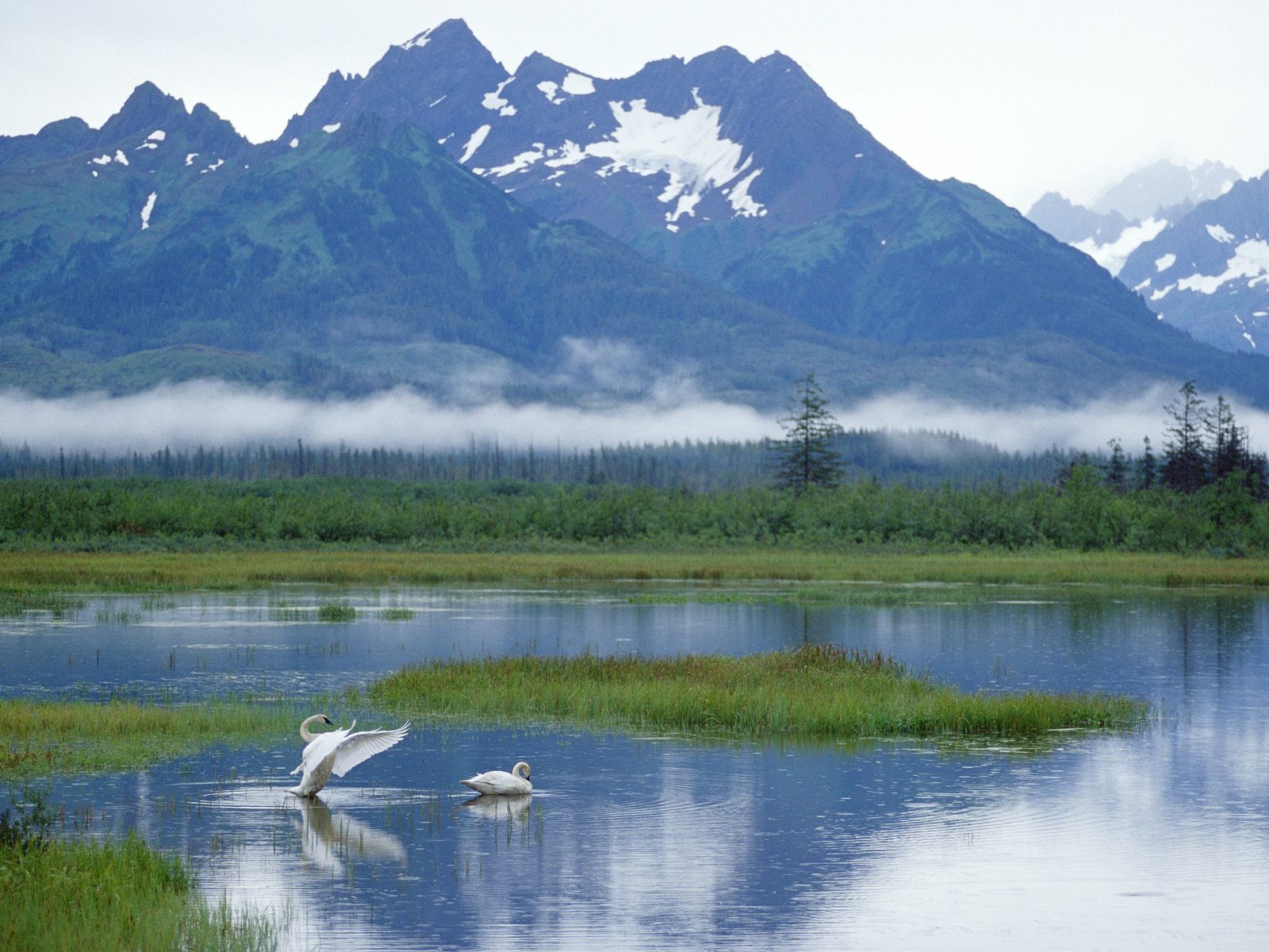 Alaska Antarctica Amazing Great Quality Superb Landscape Background