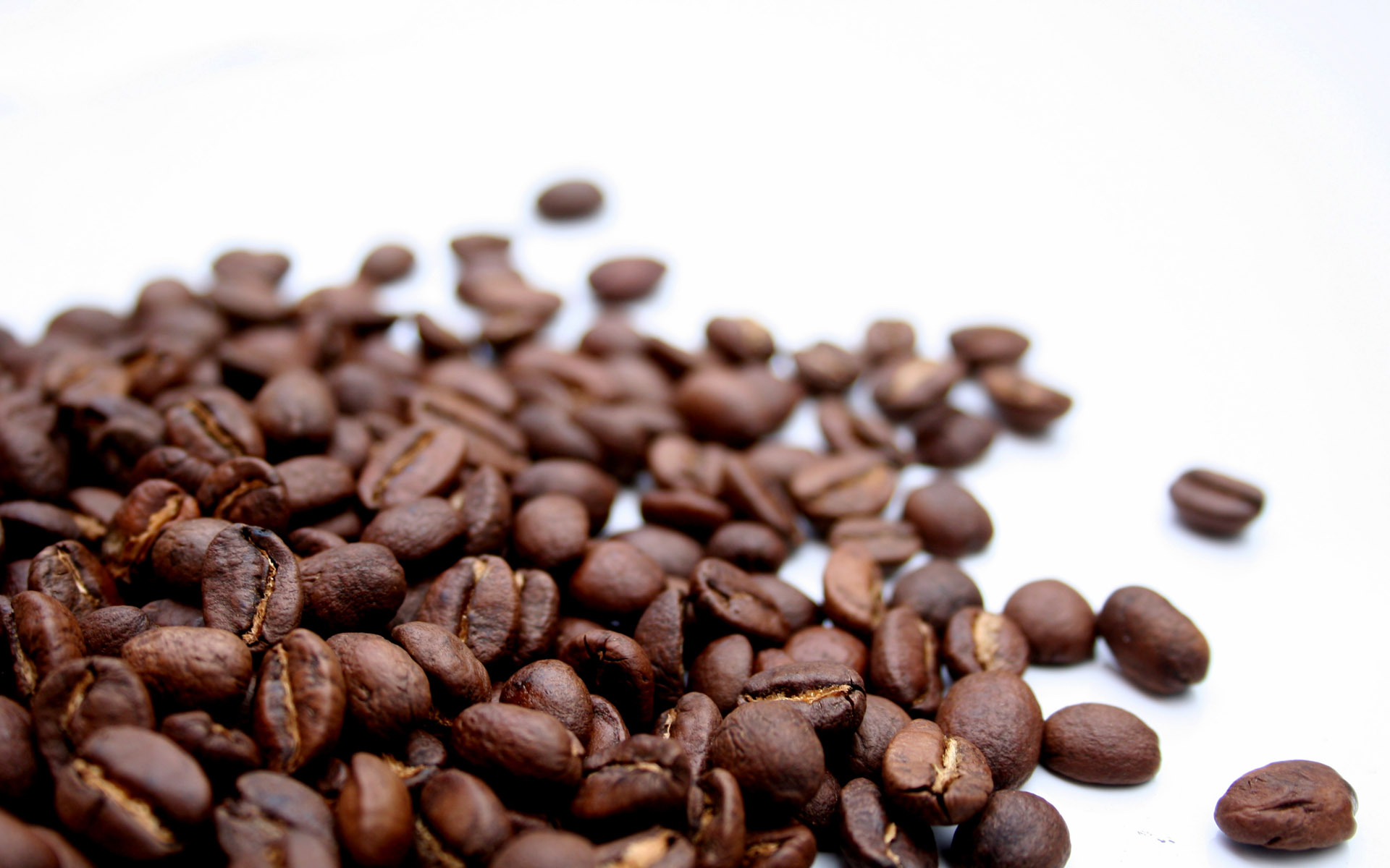 Coffee Beans Wide Image Photography