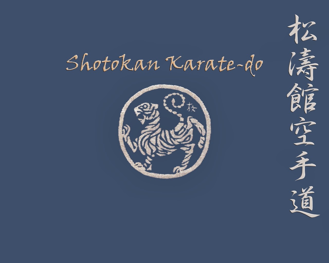 Displaying 17 Images For   Shotokan Karate Wallpaper