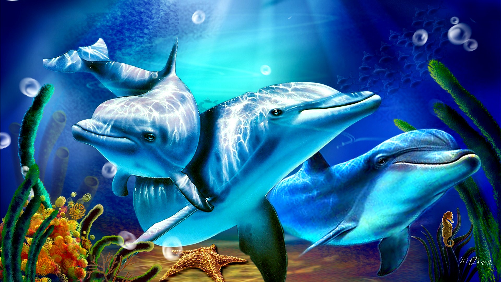 Dolphin Sunbeams Exclusive HD Wallpaper