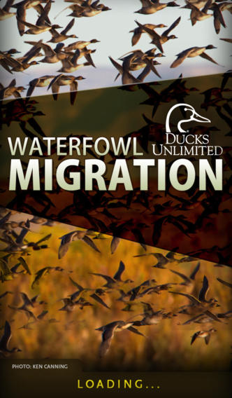 Ducks Unlimited Camo Wallpaper Waterfowl