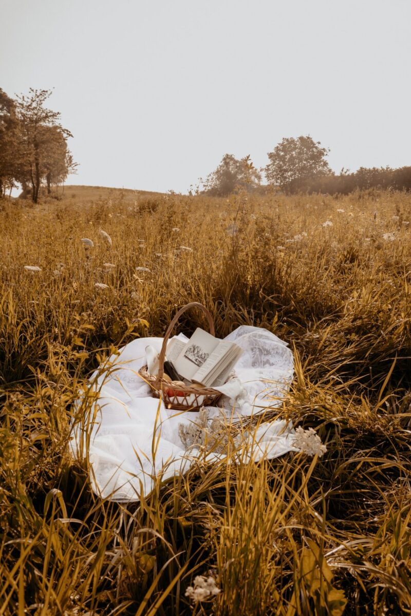 Idyllic Cottagecore Wallpaper For Your iPhone