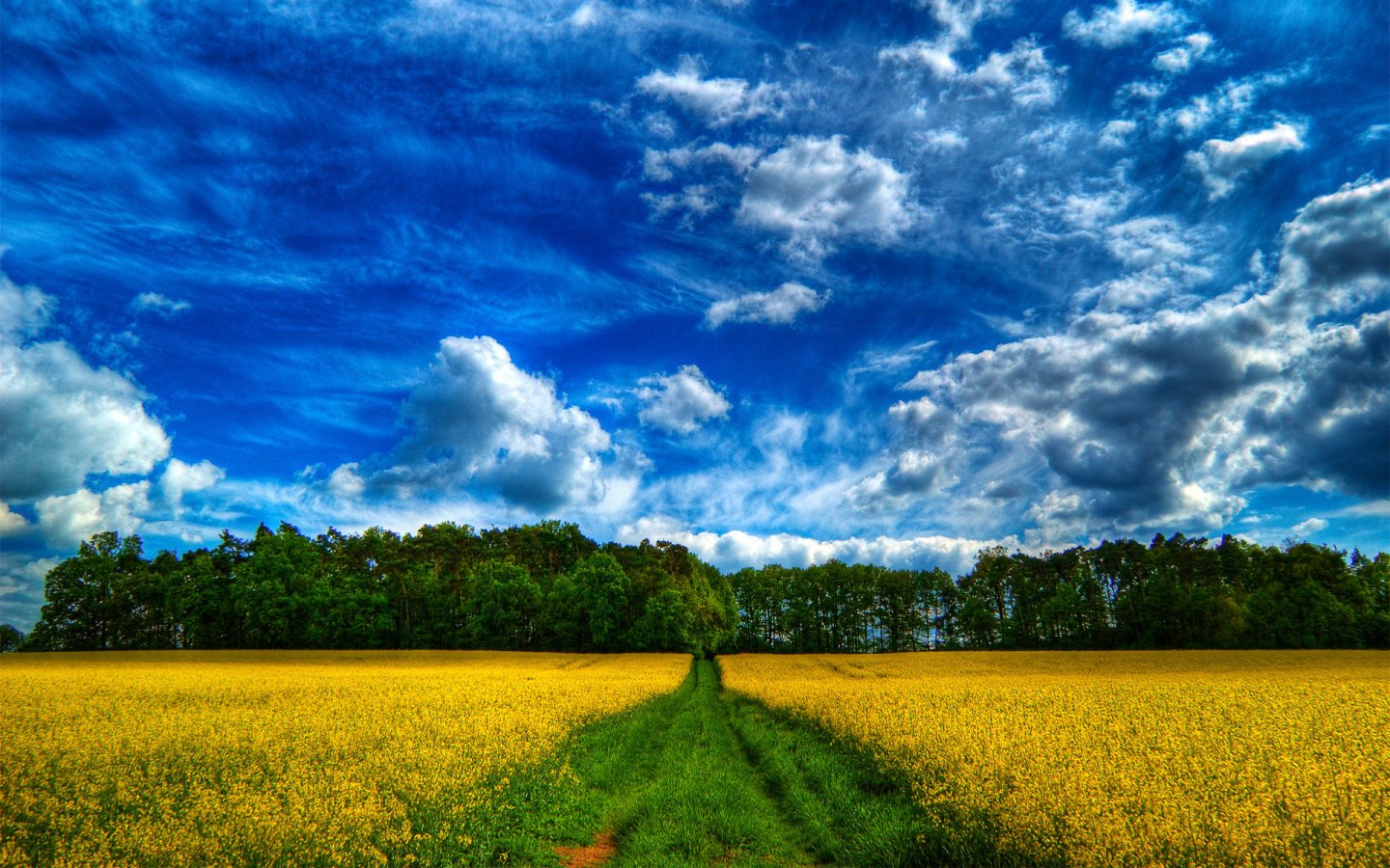 Top Wallpaper For Desktop Computers