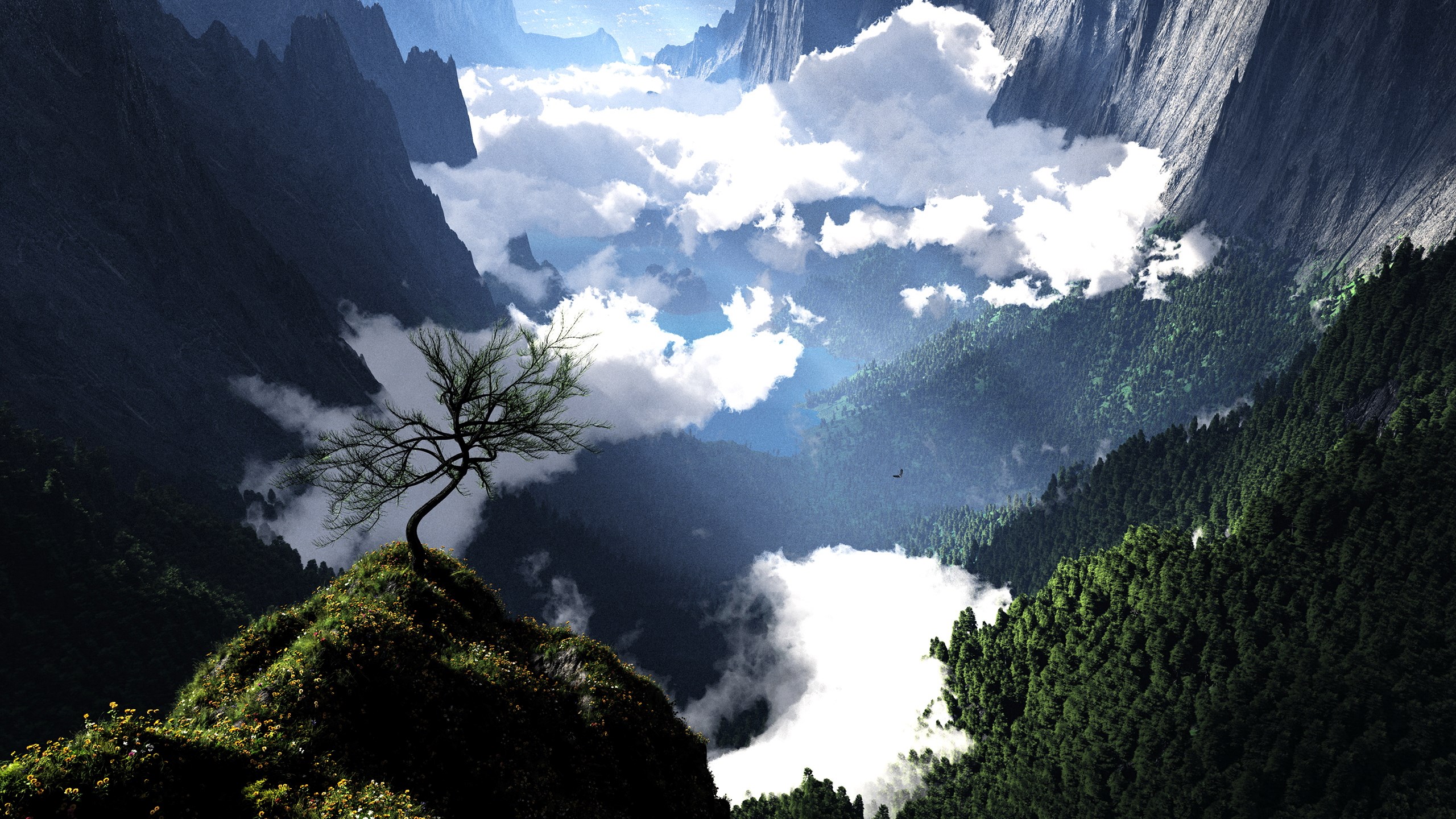 Hi Def Nature Picture Wallpaper
