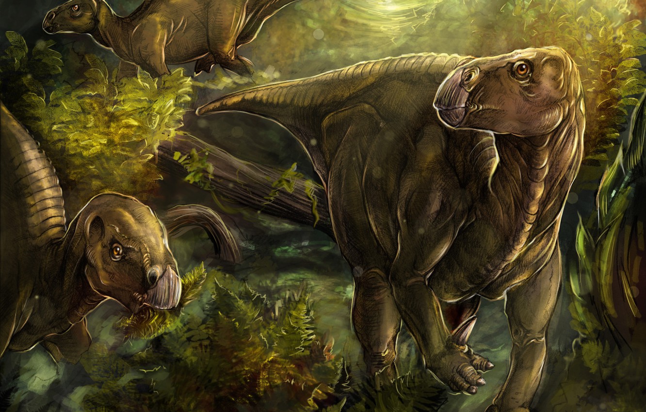Wallpaper Forest Art Dinosaurs Iguanodon Image For