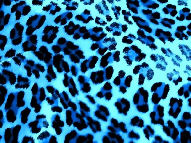 Blue Cheetah Graphics Code Blue Cheetah Comments Pictures