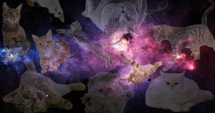 Galaxy Cat Computer Background