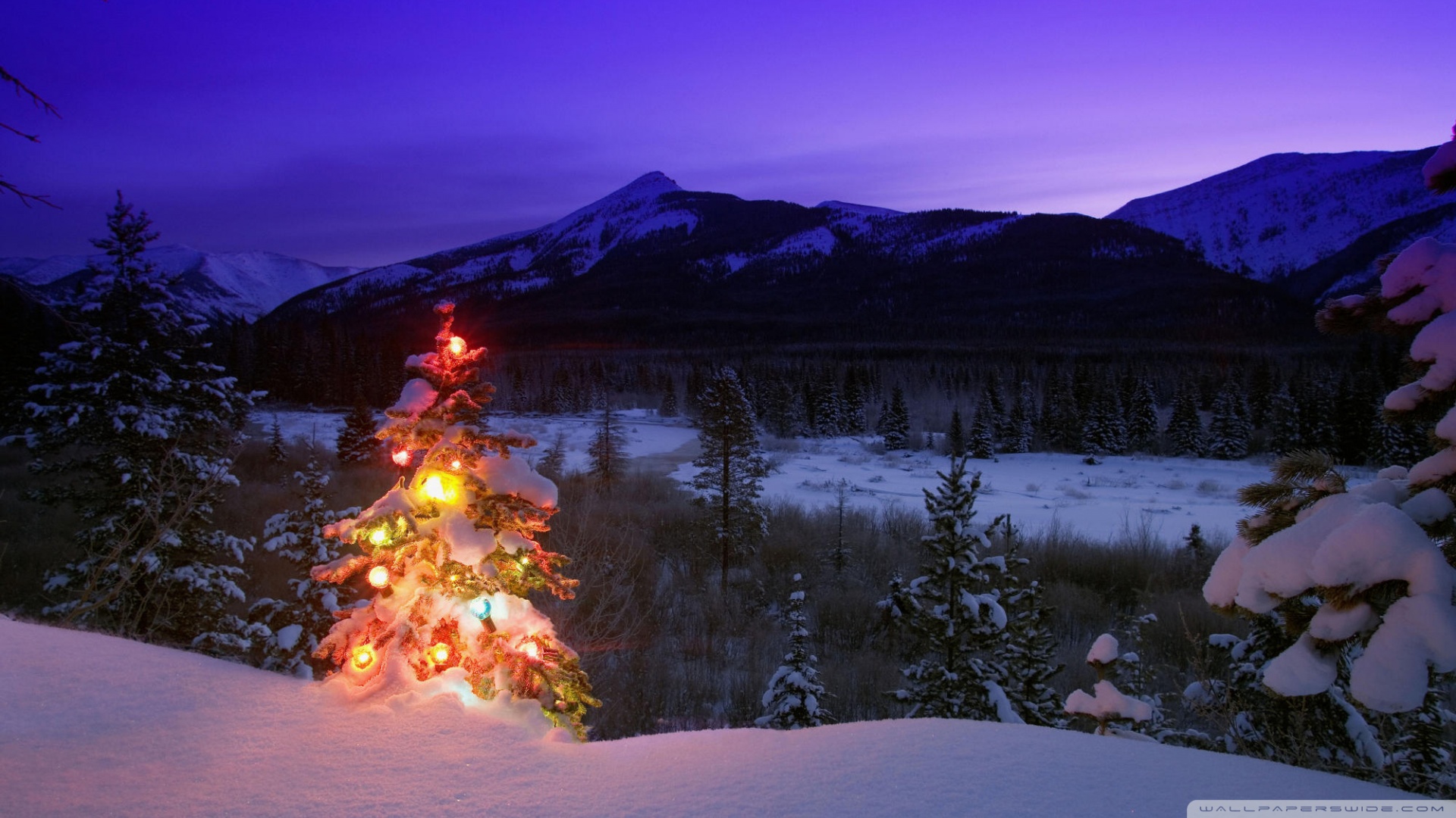 Christmas Tree With Lights Outdoors In The Mountains Wallpaper