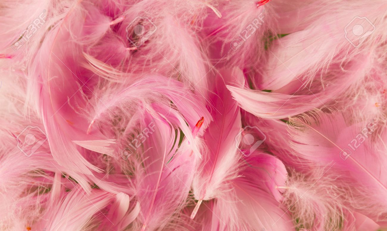 Pink Full Frame Softness Texture Feathers Wallpaper Stock Photo