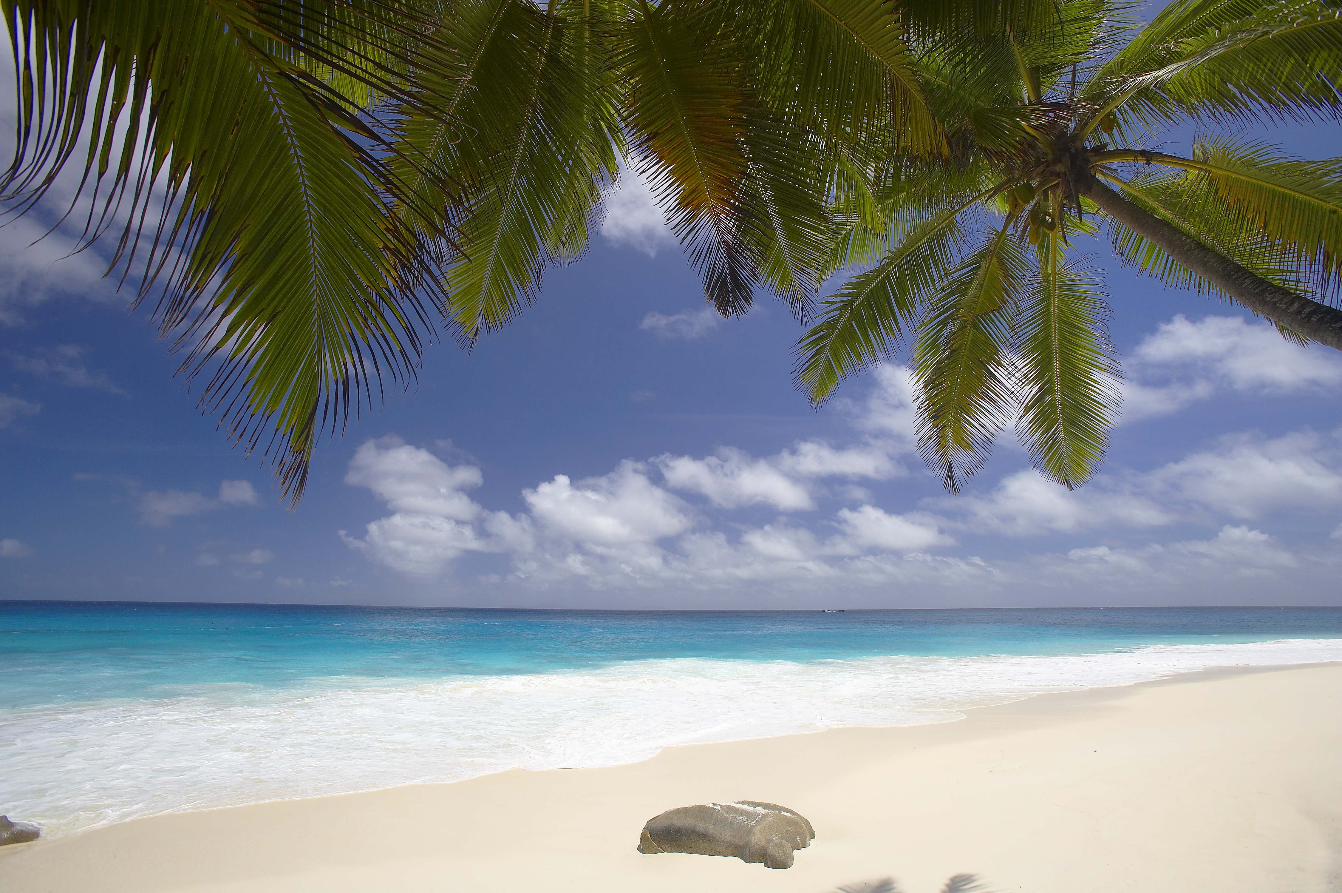  beach island palm Seychelles fregate Pure White Sand Seychelles