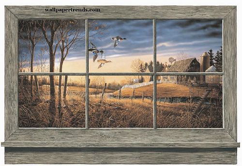 Product Gallery Wallpaper Murals Borders And Wall Decals