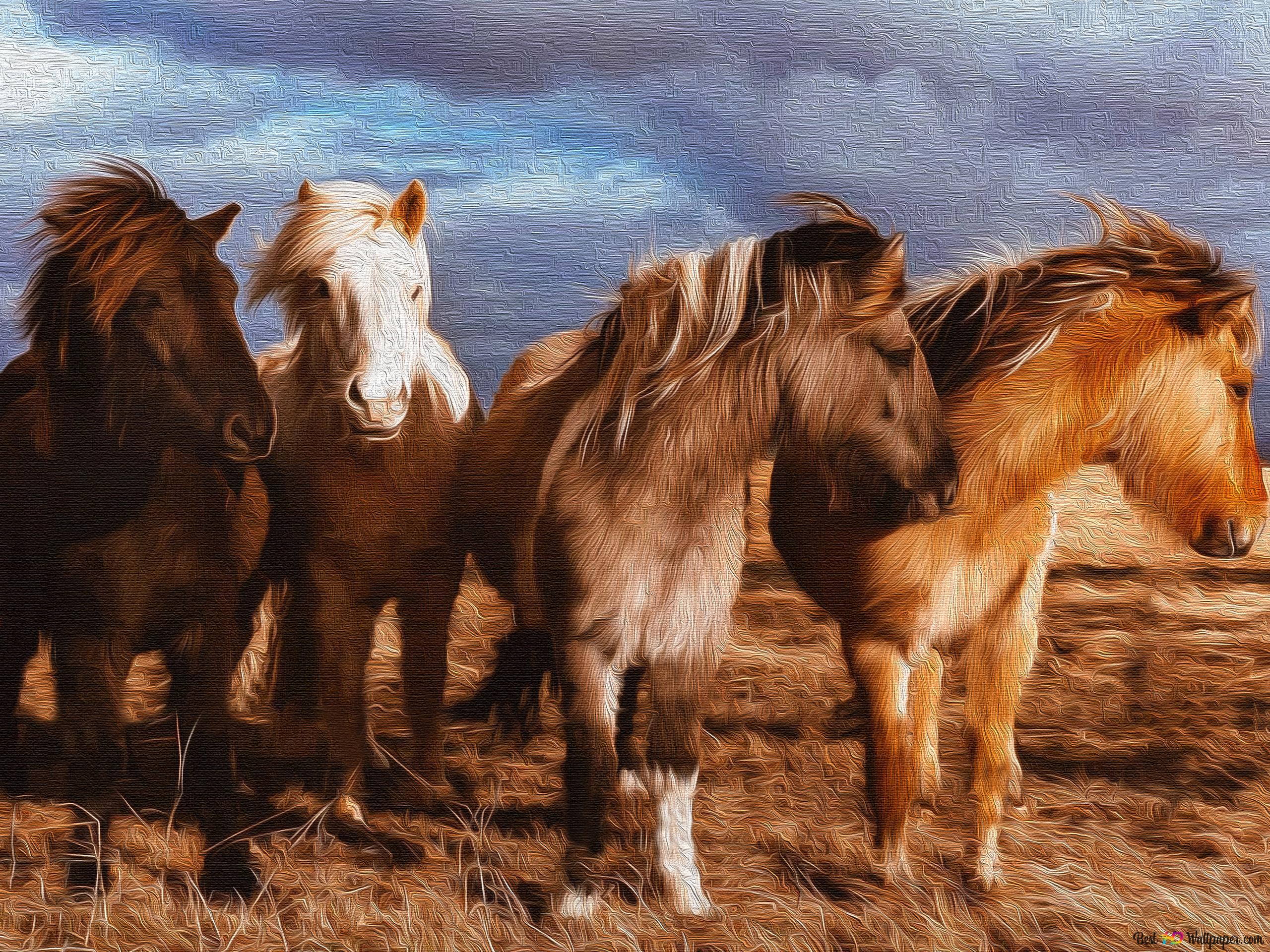 Photography Ponies Wallpaper