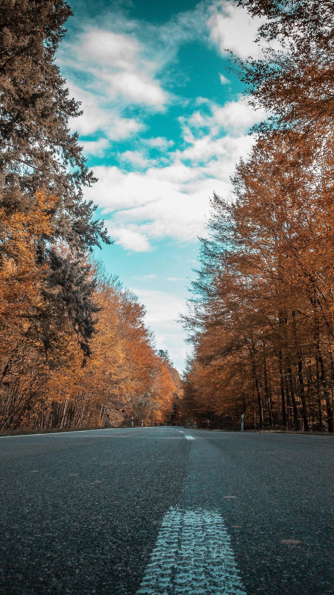 Autumn Iphone Plus Wallpaper