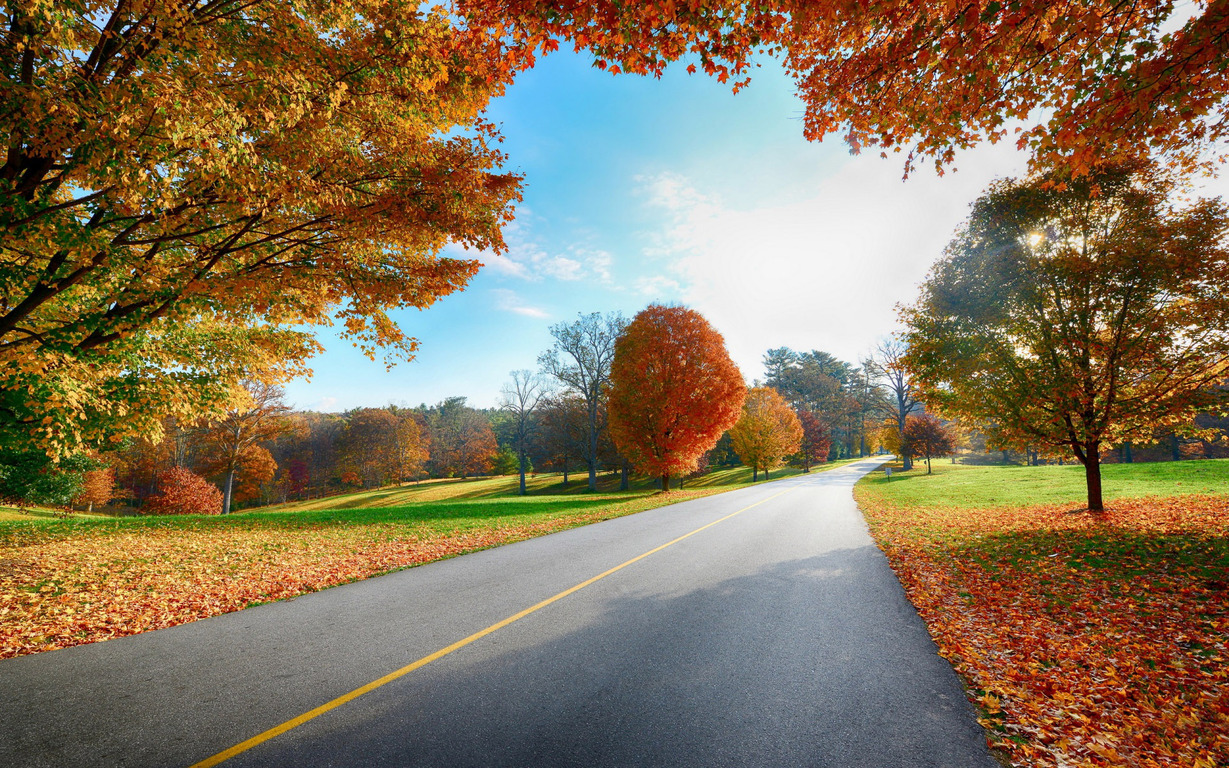 Country Road In The Fall Wallpaper