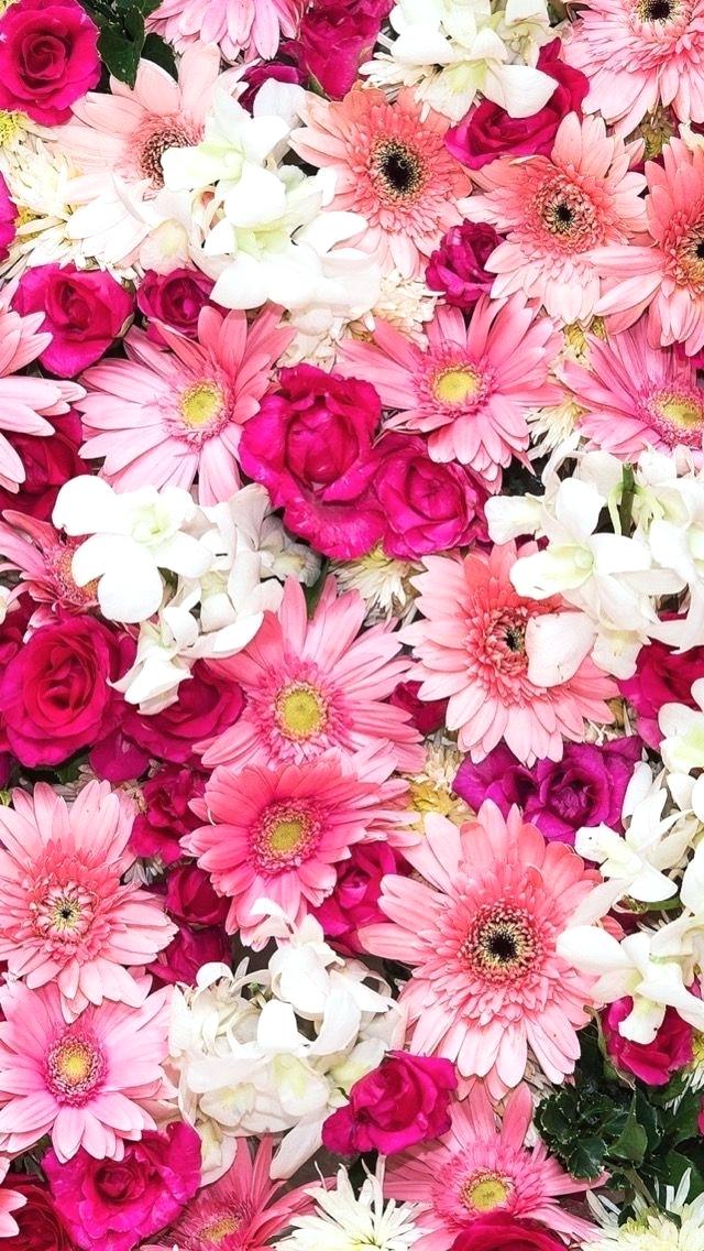 Flowers iPhone Wallpaper Albadorataitalia