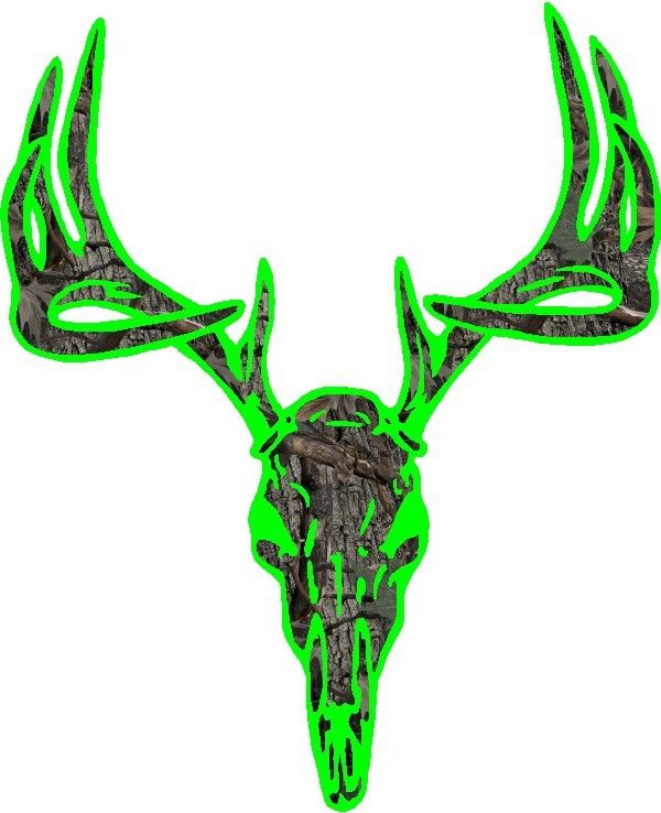 Camo Deer Skull X Kb Jpeg
