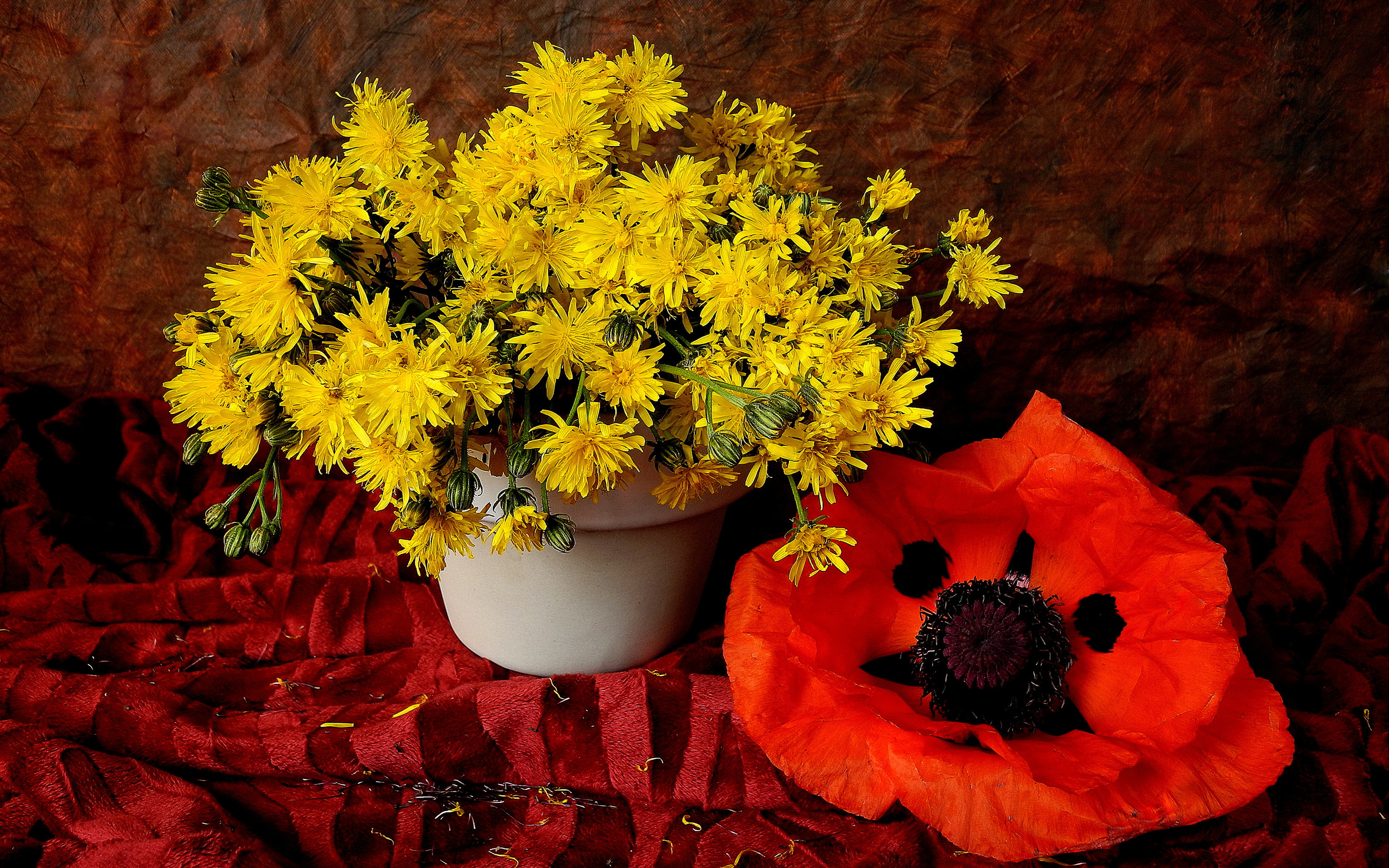 Still Life HD Wallpaper