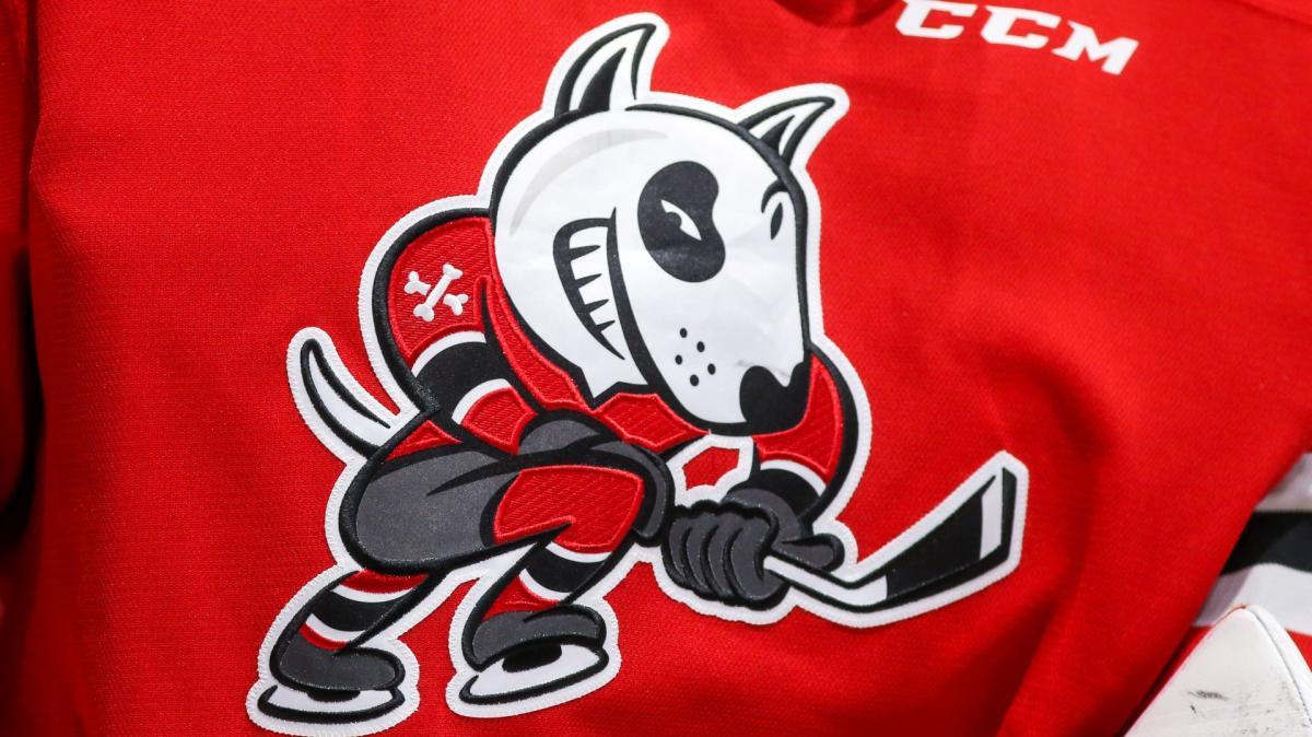 Leaked messages show reason behind IceDogs owners suspension