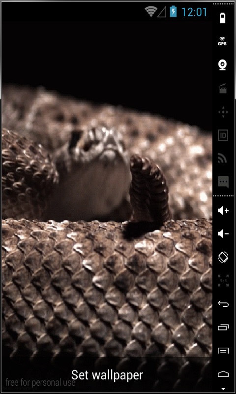 Scary Snake Live Wallpaper For Your Android Phone