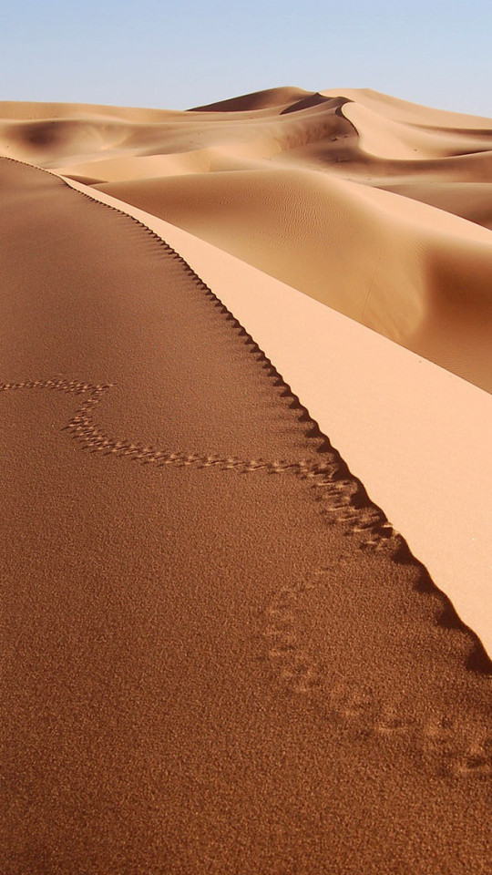 Endless Desert Wallpaper   Free iPhone Wallpapers