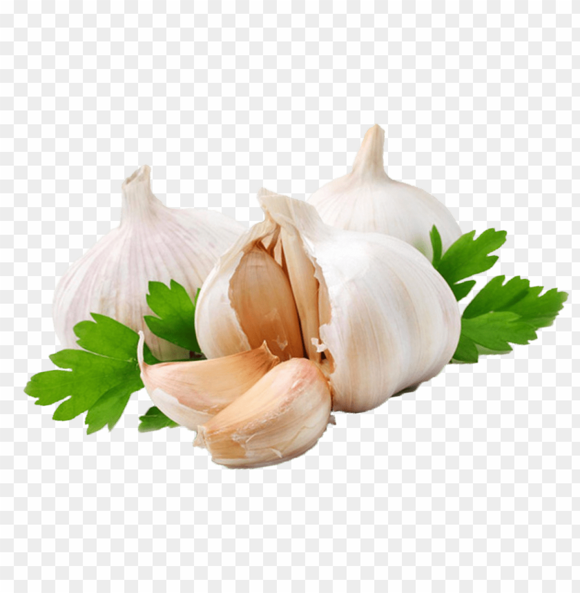 Garlic Png Image Background Toppng