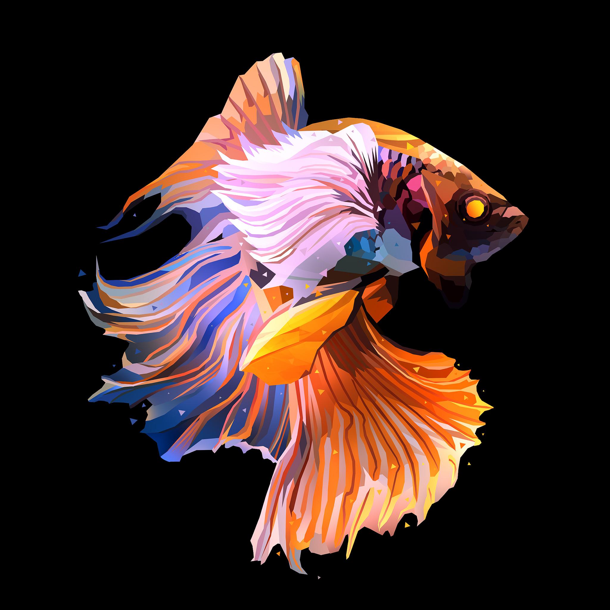 Fish Oled Dark iPad Air HD 4k Wallpaper Image