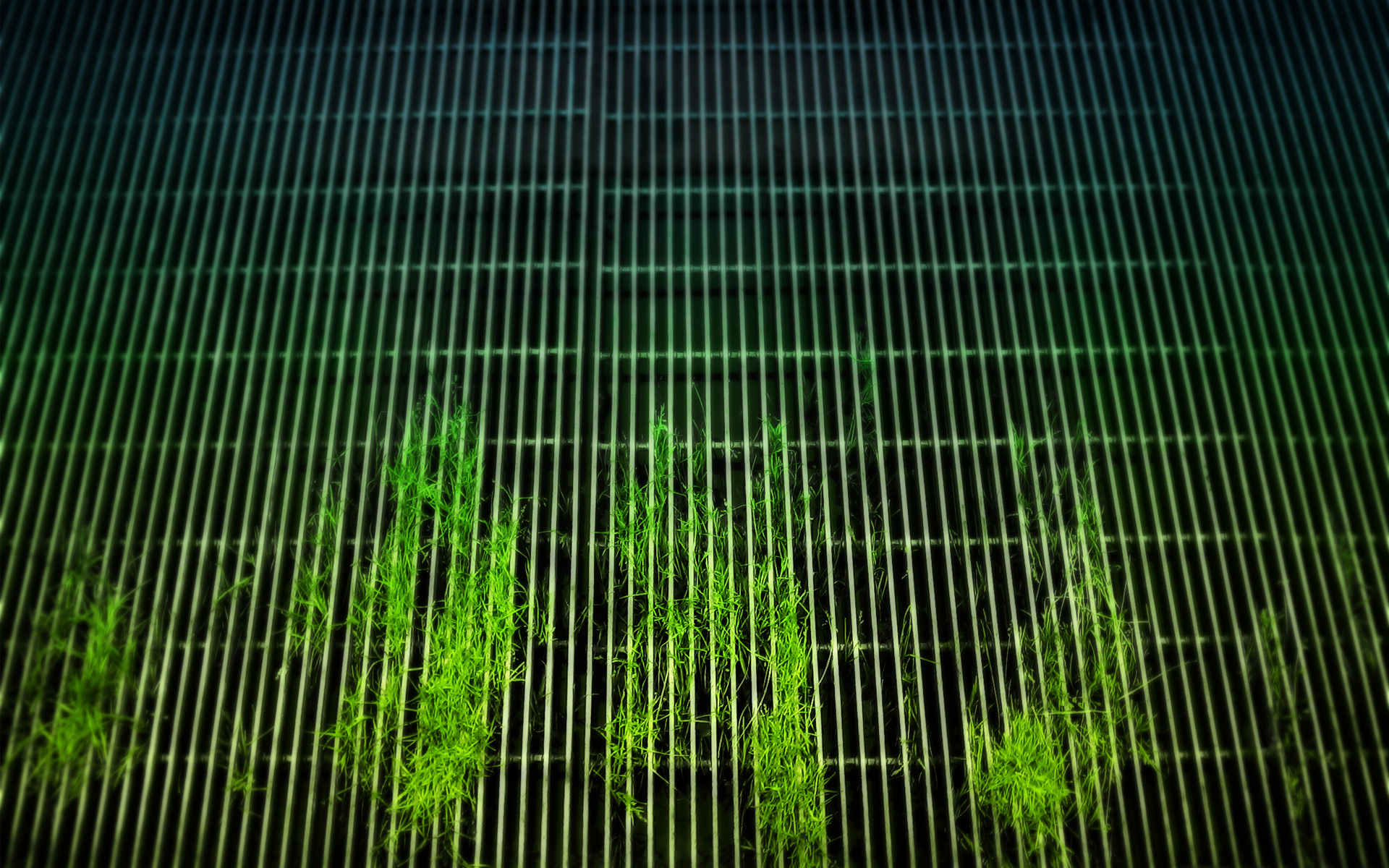 Grid Wallpaper HD