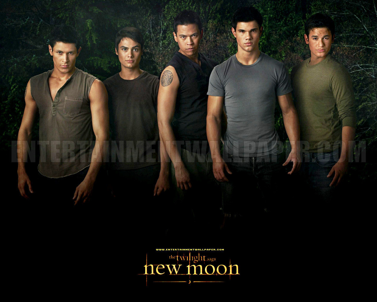 New Moon Movie Image Wallpaper