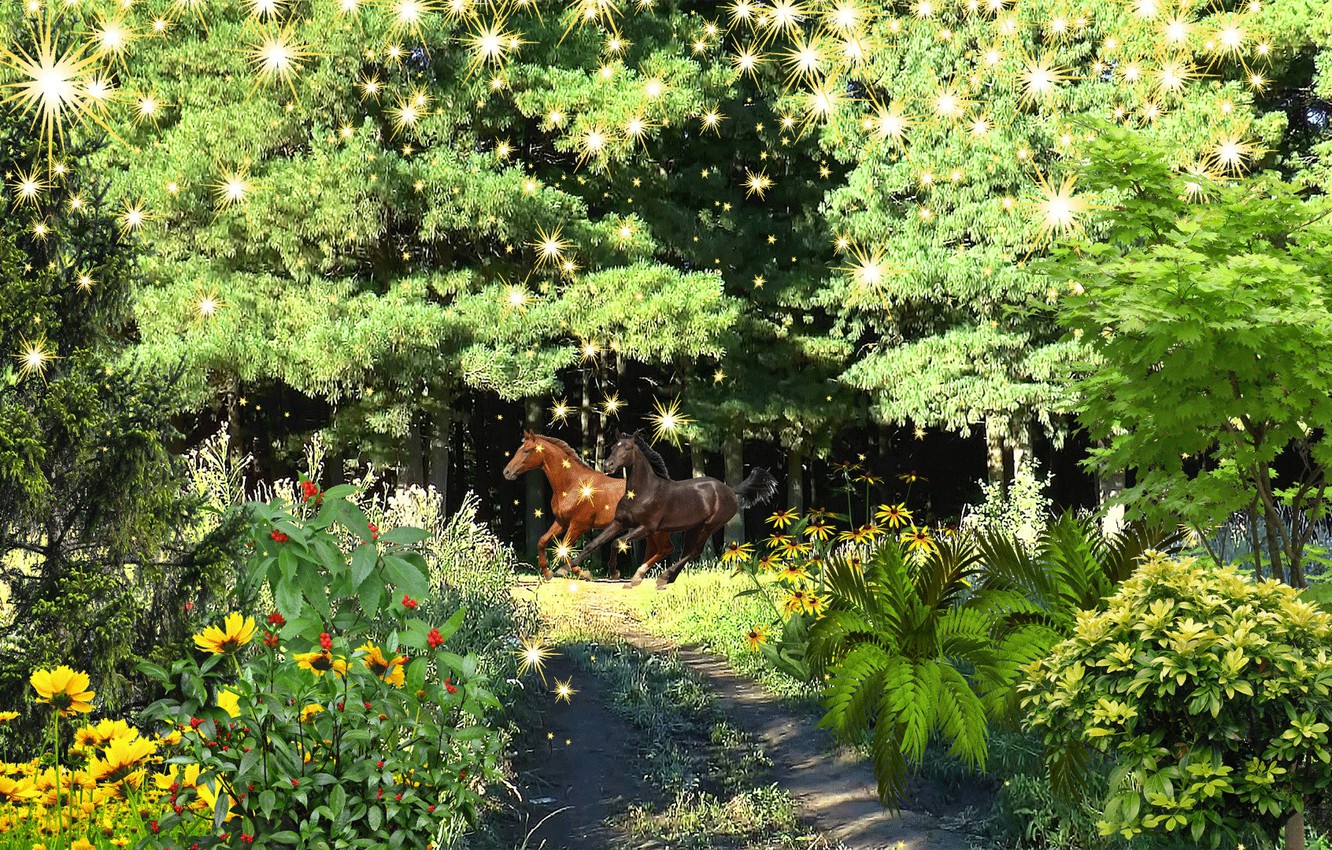 Wallpaper Summer Dream Nature Fantasy Taiga Horses Forest