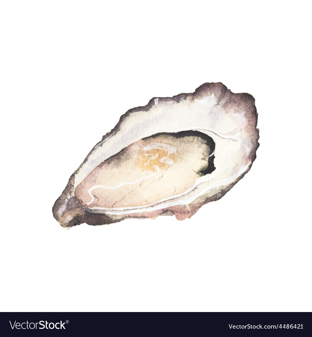 [37+] Oyster Background | WallpaperSafari