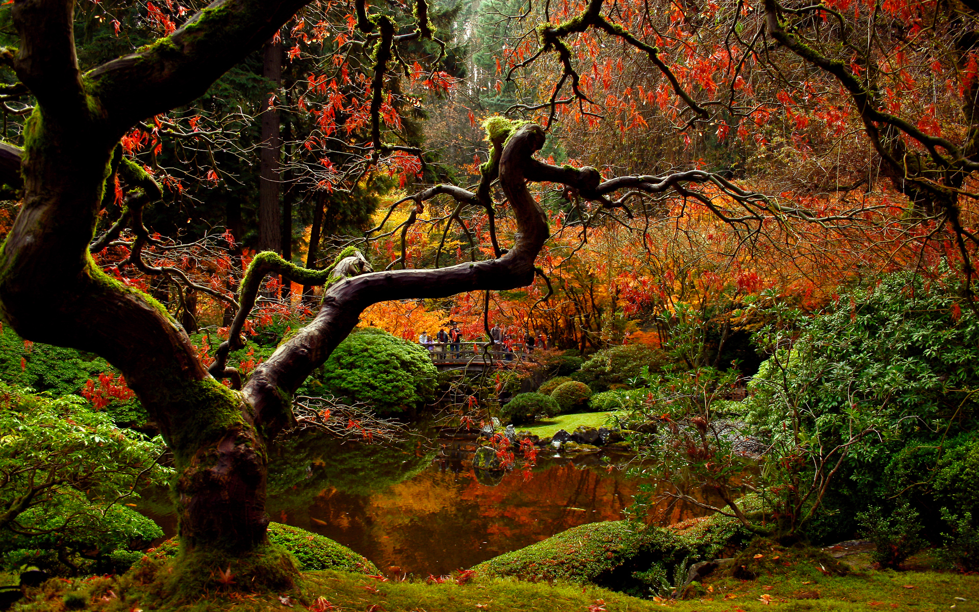 Autumn Japanese Garden Wallpaper 3d For Desktop