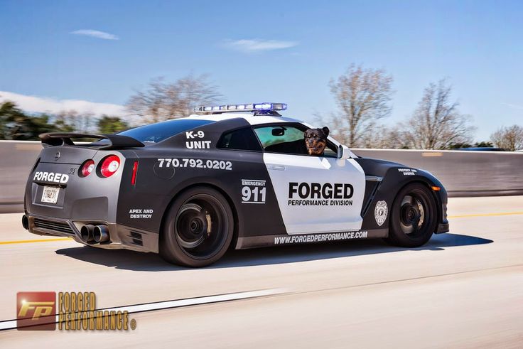 Nissan GTR police car Wild Wild Whips Pinterest
