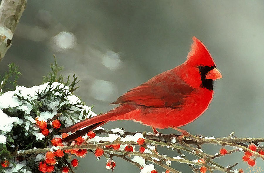 Cardinal Painting Winter By Shere Crossman