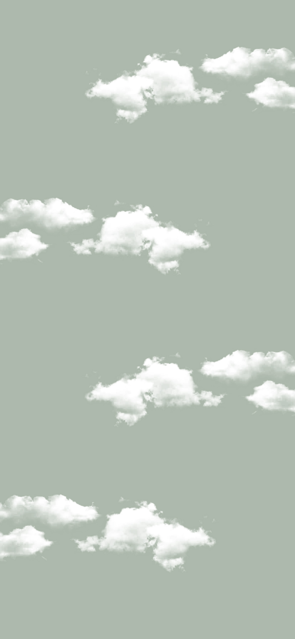 Sage Green Aesthetic Wallpaper