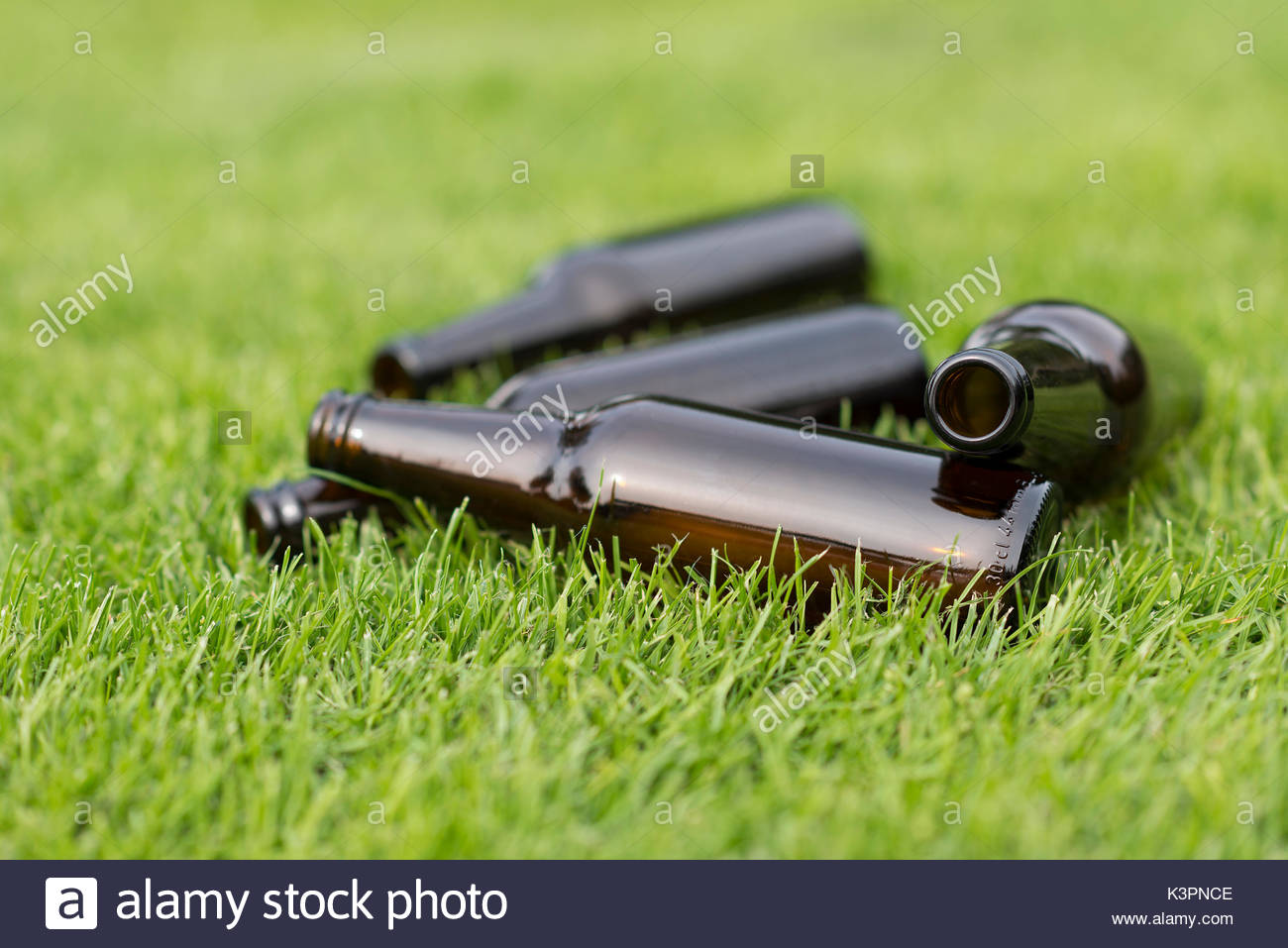 Empty Beer Bottles In A Grass Field With Vague Background Stock