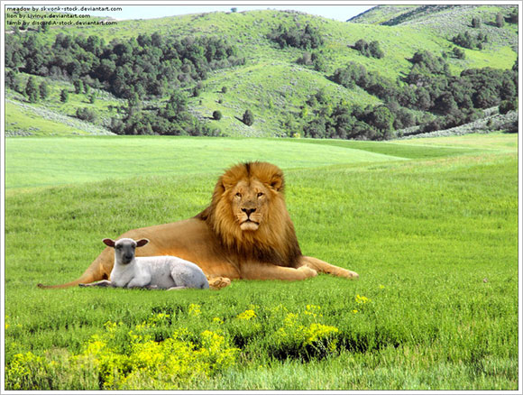 Lion and Lamb Wallpaper 54 images