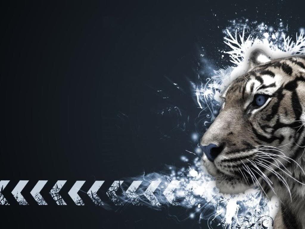 White Tiger Wallpaper Desktop Background